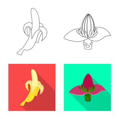 Doğal ve vejetaryen simgesi yalıtılmış nesne. Doğal ve yeme hisse senedi simgesi için web topluluğu.