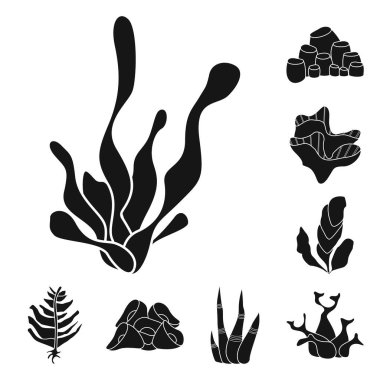 Ayrı bir dekorasyon ve vahşi yaşam işareti. Stok için dekorasyon ve akvaryum vektör simgesi kümesi.