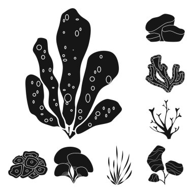 Ayrı bir dekorasyon ve vahşi yaşam işareti. Dekorasyon ve akvaryum stok vektör illüstrasyonu koleksiyonu.