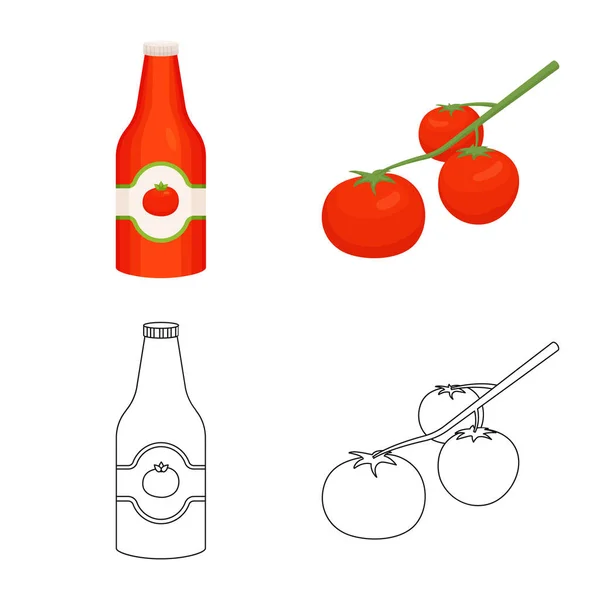 Ilustración vectorial de vegetales y delicioso icono. Conjunto de icono de vector vegetal y natural para stock . — Vector de stock