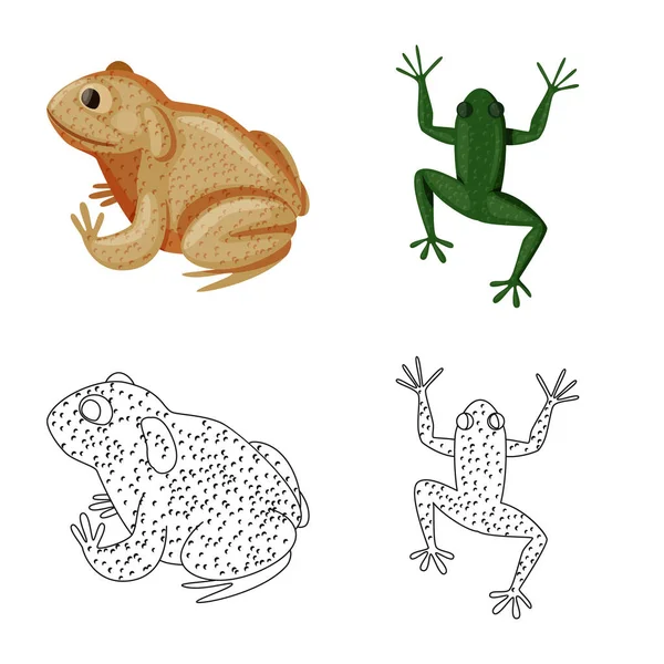 Ilustración vectorial de vida silvestre y símbolo de pantano. Conjunto de vida silvestre y reptil vector icono para stock . — Archivo Imágenes Vectoriales