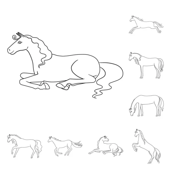 Objeto aislado de semental y galope. Colección de semental y caballo símbolo de stock para la web . — Archivo Imágenes Vectoriales