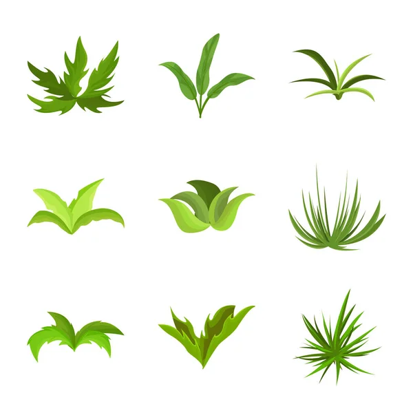 Ilustración vectorial del logotipo del jardín y la hierba. Conjunto de jardín y arbusto símbolo de stock para la web . — Archivo Imágenes Vectoriales