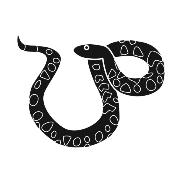 Geïsoleerd object van slang en adder icoon. Web element van slang en ratelslang stock symbool voor web. — Stockvector