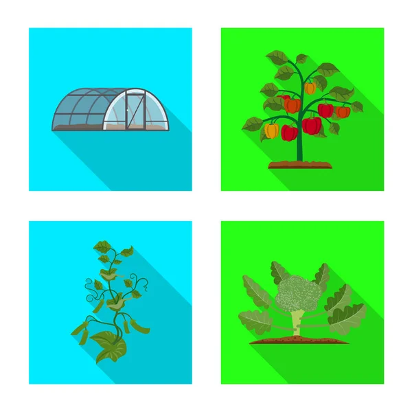Ilustracja wektorowa cieplarnianych i roślina symbol. Zestaw cieplarnianych i ogród wektor ikona na magazynie. — Wektor stockowy