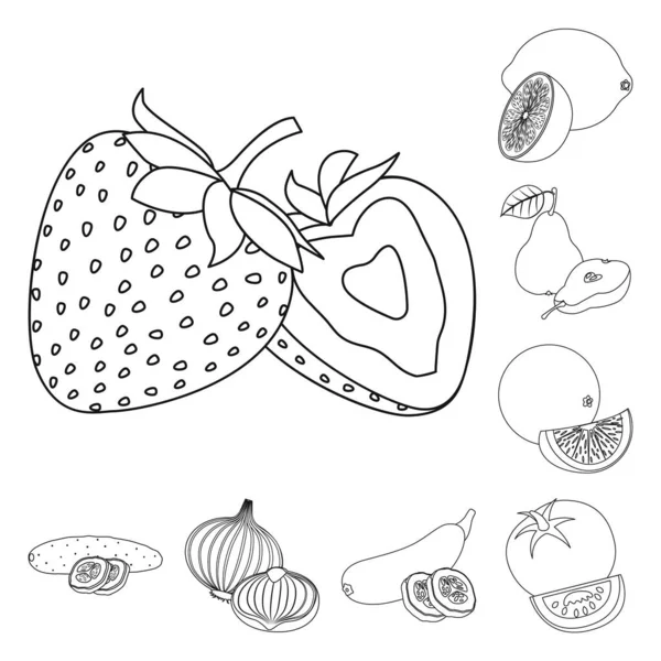 Ilustração vetorial do sinal vegetal e frutífero. Conjunto de símbolo de estoque vegetal e vegetariano para web . — Vetor de Stock