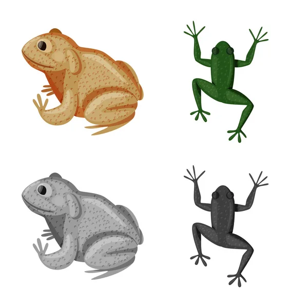 Vektor illustration av vilt-och bog-ikonen. Insamling av vilda djur och reptiler Stock symbol för webb. — Stock vektor