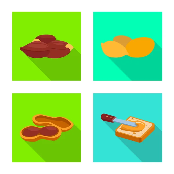 Vector illustration of natural and seed icon. Collection of natural and groundnut vector icon for stock. — Stock Vector