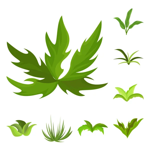 Design vettoriale dell'icona del giardino e dell'erba. Raccolta di giardino e arbusto stock vettoriale illustrazione . — Vettoriale Stock