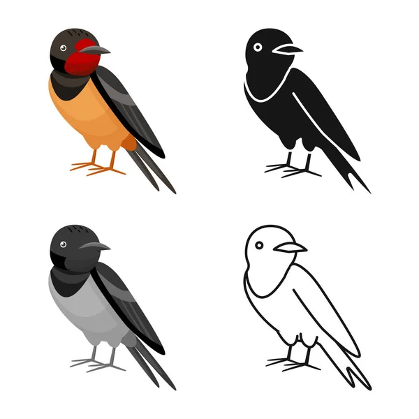 Isolerat föremål av fågel och näktergal tecken. Insamling av fågel och liten stock symbol för webben. — Stock vektor