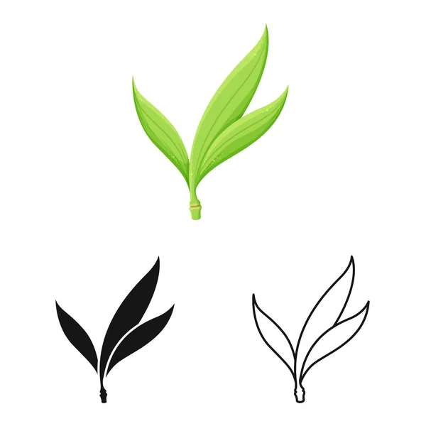 Векторная иллюстрация листа и иконки сахара. Графический символ листа и зеленого запаса для паутины . — стоковый вектор
