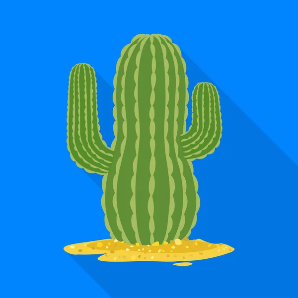 Conception vectorielle du cactus et signe sud. Élément Web de l'illustration vectorielle de stock de cactus et d'Amérique . — Image vectorielle