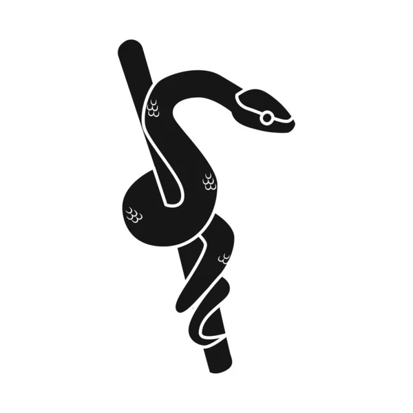 Diseño vectorial de serpiente e icono amarillo. Gráfico de serpiente y selva símbolo de stock para web . — Vector de stock