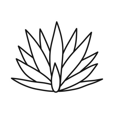 İzole edilmiş agave ve tekila ikonu. Stok için agave ve mavi vektör simgesinin web ögesi.