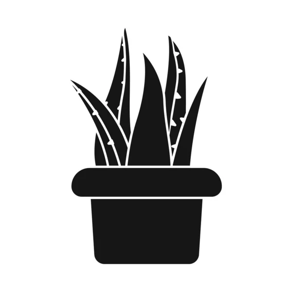 Vektor design av aloe och pot symbol. Webb element av aloe och kaktus vektor ikon för lager. — Stock vektor