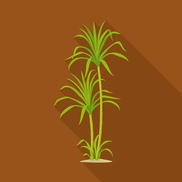 Diseño vectorial de señal de palma y caña. Elemento web de la palma y el símbolo de stock de campo para web . — Vector de stock