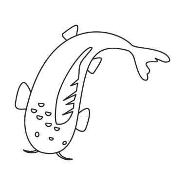 Sazan vektör simgesi. Çizgi vektör simgesi beyaz arkaplanda izole edildi.