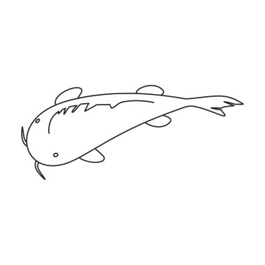 Sazan vektör simgesi. Çizgi vektör simgesi beyaz arkaplanda izole edildi.