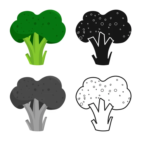 Ilustração vetorial do ícone de brócolis e legumes. Conjunto de brócolos e ilustração vetorial de estoque de alimentos . — Vetor de Stock