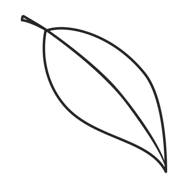 叶子鳄梨向量图标.在白色背景鳄梨上孤立的线条向量图标. — 图库矢量图片