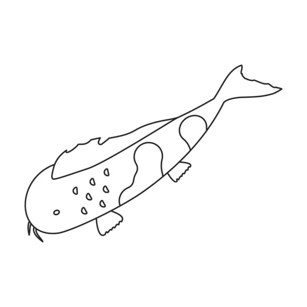 鯉ベクトルアイコン白い背景鯉に孤立ラインベクトルアイコン. — ストックベクタ