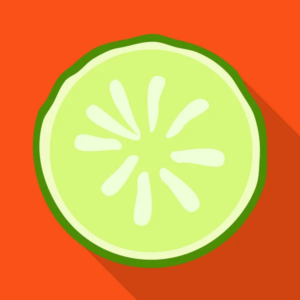 Vector illustratie van komkommer en plak logo. Web element van komkommer en cirkel vector pictogram voor voorraad. — Stockvector