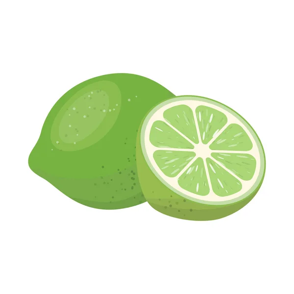 Objeto aislado de icono verde y limón. Gráfico de verde y el icono del vector de cal para stock . — Vector de stock