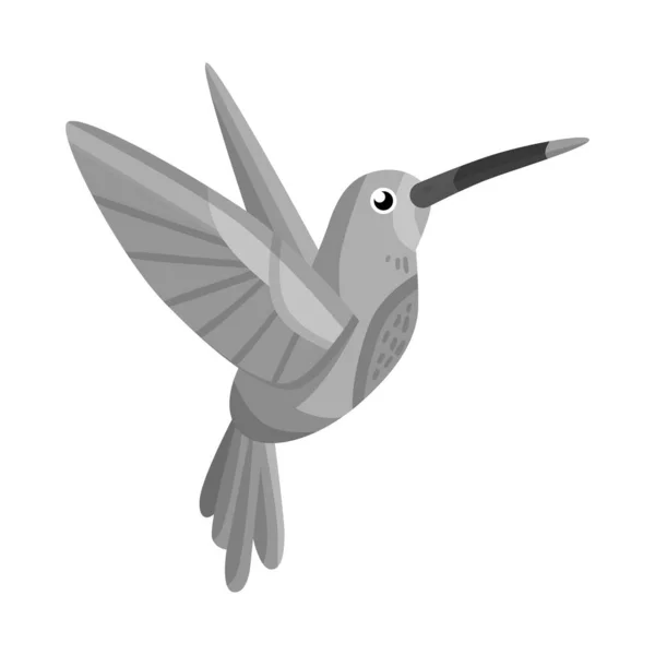 Vektorillustration von Kolibri und Vogelsymbol. Set von Kolibri und fliegendem Vektorsymbol für Aktien. — Stockvektor