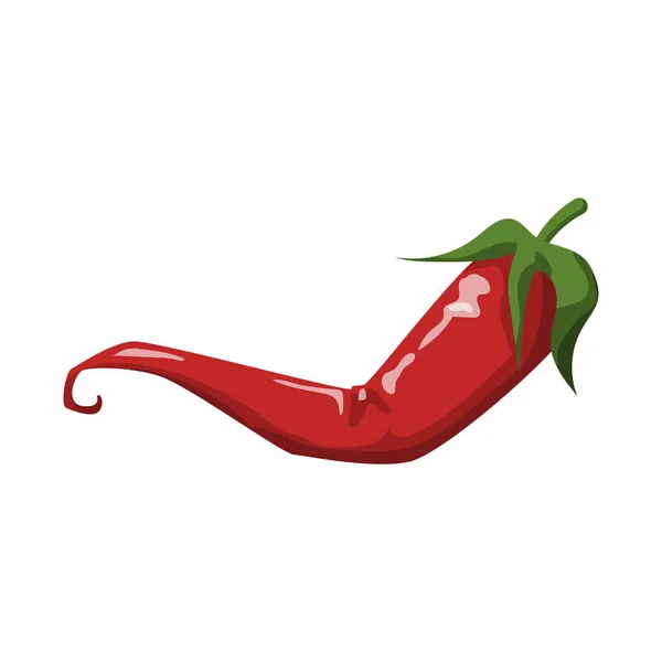 Ilustração vetorial de pimenta e ícone quente. Gráfico do ícone do vetor pimenta e pimenta para estoque . —  Vetores de Stock