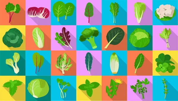 Vegetable lettuce flat vector icon.Illustration of isolated flat icon vegetable salad. Векторные иллюстрации лист салата и капуста. — стоковый вектор