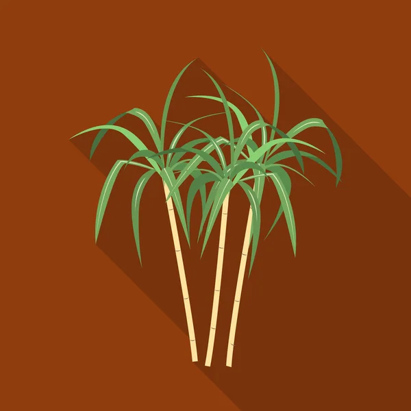 Ilustración vectorial del icono de la palma y la caña. Gráfico de la palma y el símbolo de stock de plantas para la web. — Vector de stock