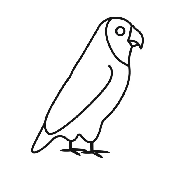 Векторный дизайн попугая и зеленой иконы. Набор векторных иллюстраций попугаев и бразильцев. — стоковый вектор