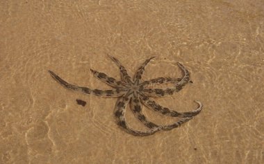 Vietnam Phu Quoc Ha On