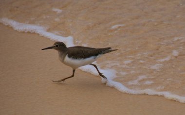 Vietnam Phu Quoc Ha On