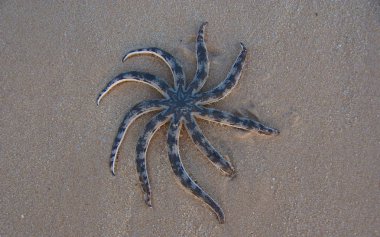 Vietnam Phu Quoc Ha On