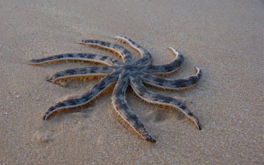 Vietnam Phu Quoc Ha On