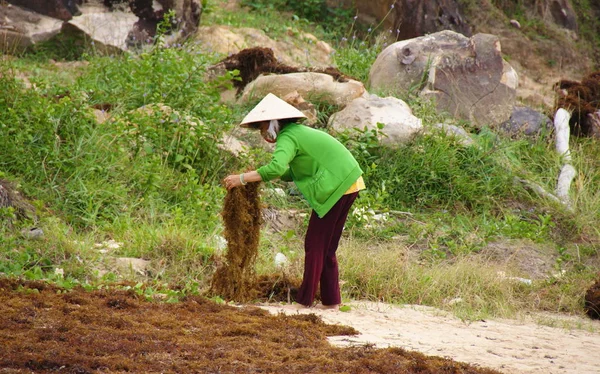 Вьетнам Куок Тен — стоковое фото