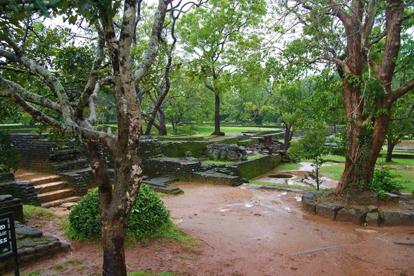 Tour Por Isla Sri Lanca — Foto de Stock