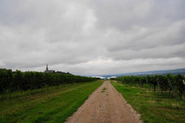 Almanya 2017 Bingen şehir