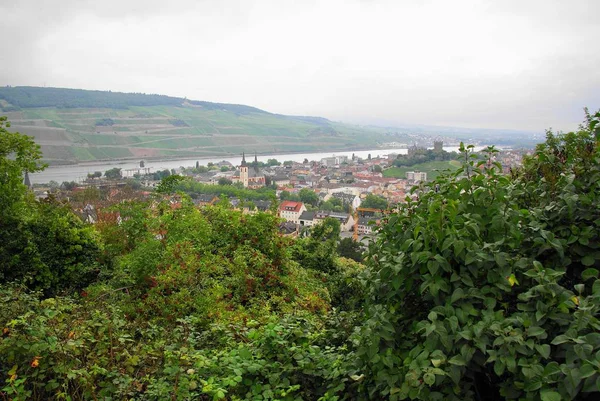 Tyskland 2017 Bingen Stad — Stockfoto