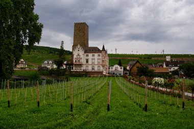 Almanya 2017 Trier şehir