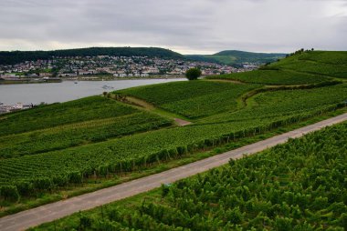 Almanya 2017 Trier şehir