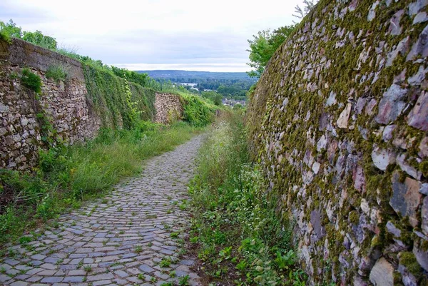 Alemania 2017 Rudasheim Ciudad —  Fotos de Stock