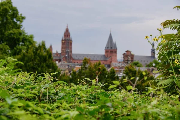 Germania 2017 Mainz Town — Foto Stock