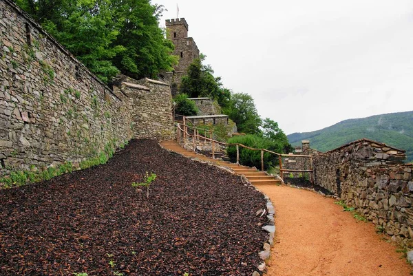 Alemania 2017 Burg Reichenstein — Foto de Stock