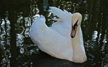  Ukrayna 2011 Kiev versite