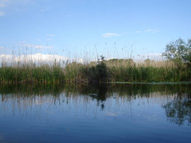 Ukrayna 2009 Kherson alan