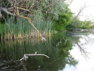 Ukrayna 2009 Kherson alan