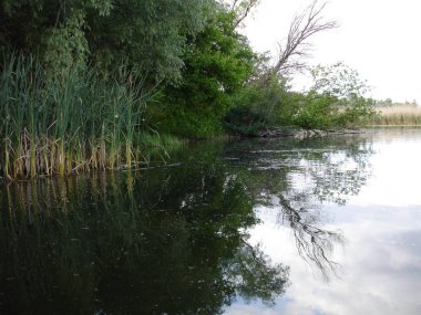 Ukrayna 2009 Kherson alan