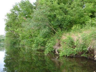 Ukrayna 2009 Kherson alan